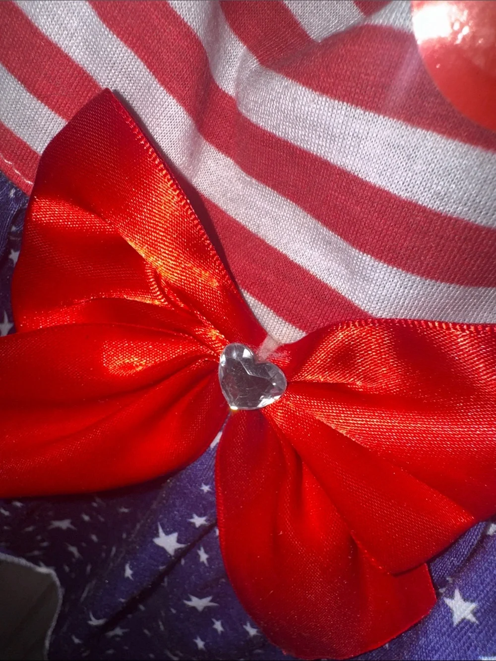 NWT Dog's Red & Blue Star-Spangled Dress